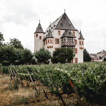 Schloss Schoenborn Geisenheim Exterior foto