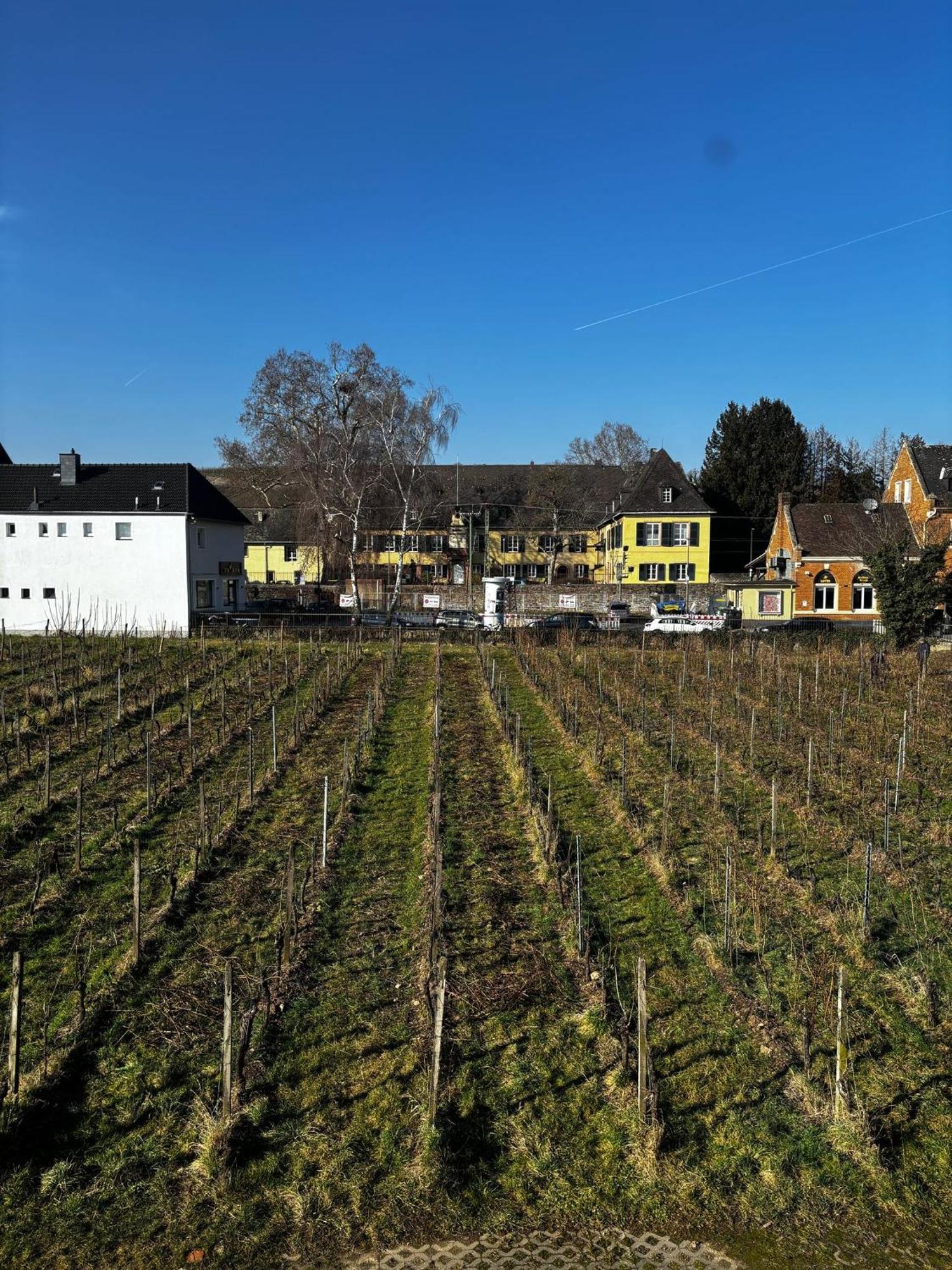 Schloss Schoenborn Geisenheim Exterior foto