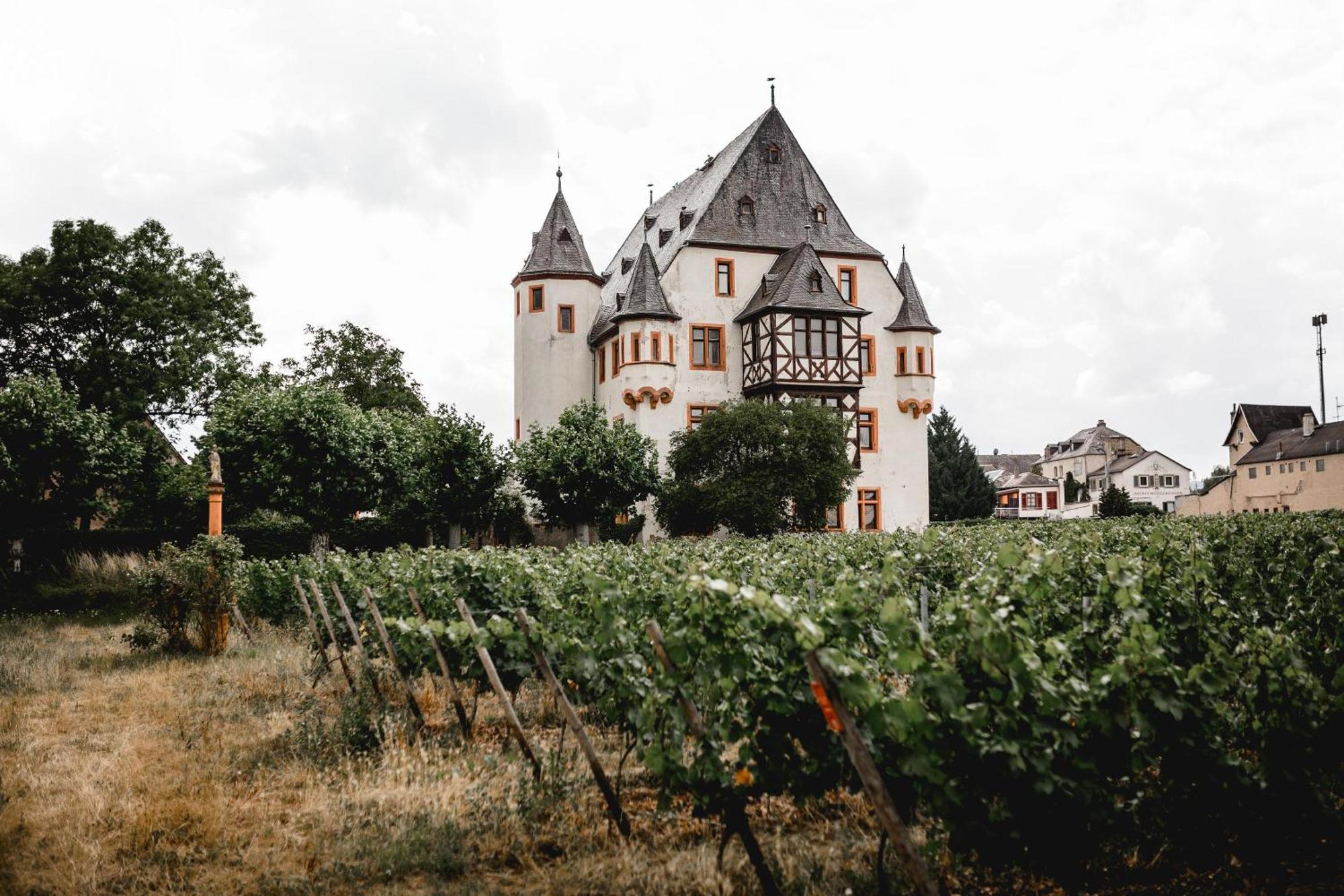 Schloss Schoenborn Geisenheim Exterior foto